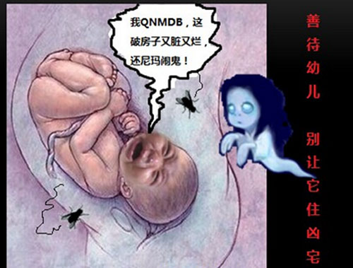 遗传决定论是否正确,遗传决定论的有关实验