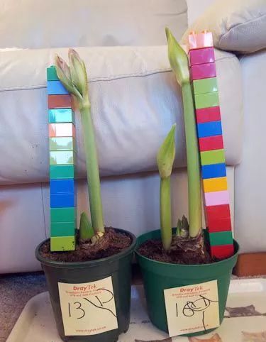 你知道数字有多大吗,你知道吗怎么用数字表示