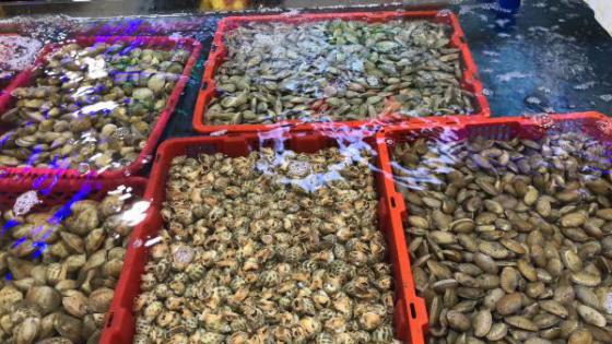 三亚不得不去的景点图片,三亚夜游三亚湾自由行热门攻略