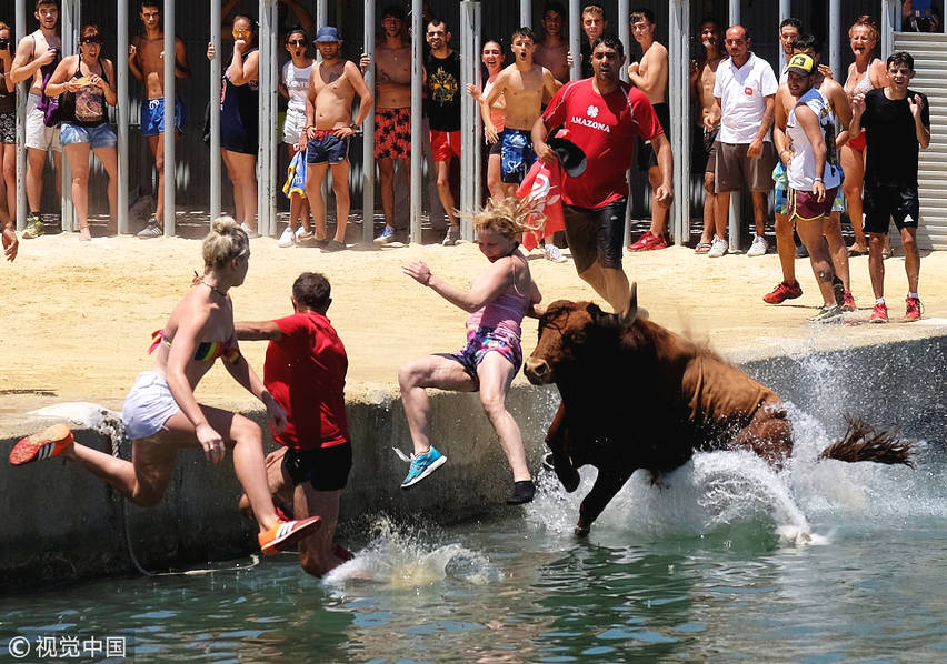 勇敢者游戏活动,勇敢者的冒险游戏