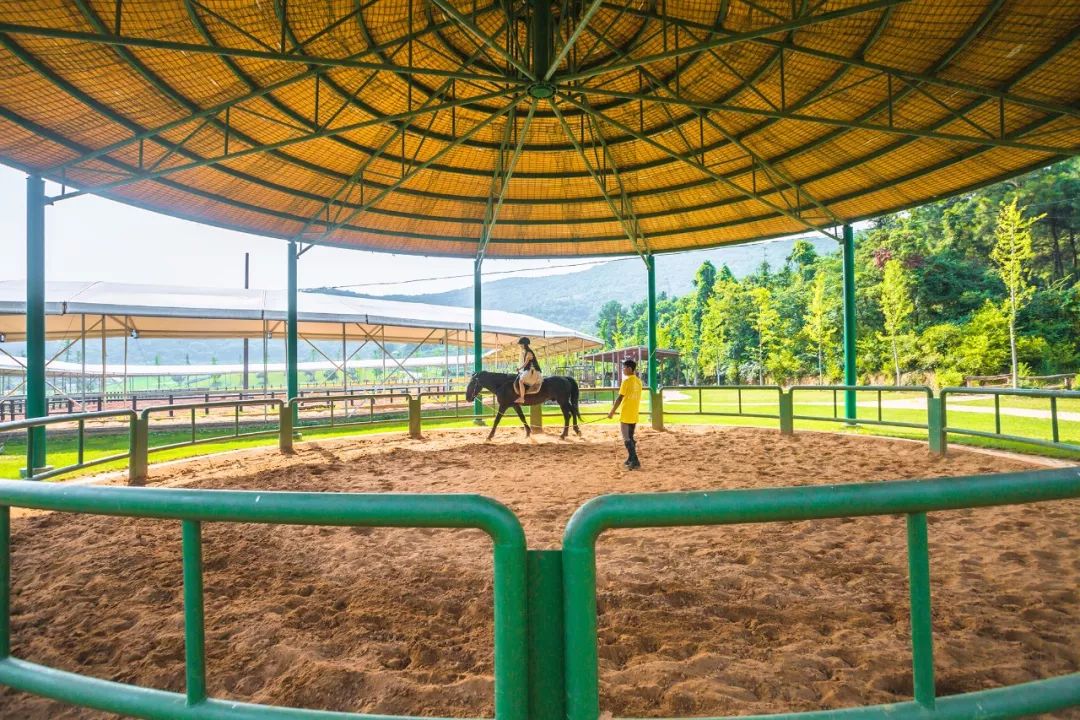 世外桃源在于修心的地方,栖身于江南美景