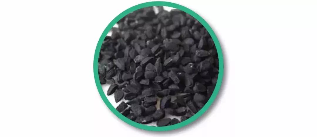 王子印度,王子印度尼西亚