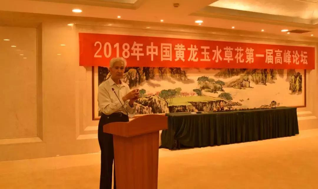 黄龙玉水草花亮点,顶级黄龙玉水草花