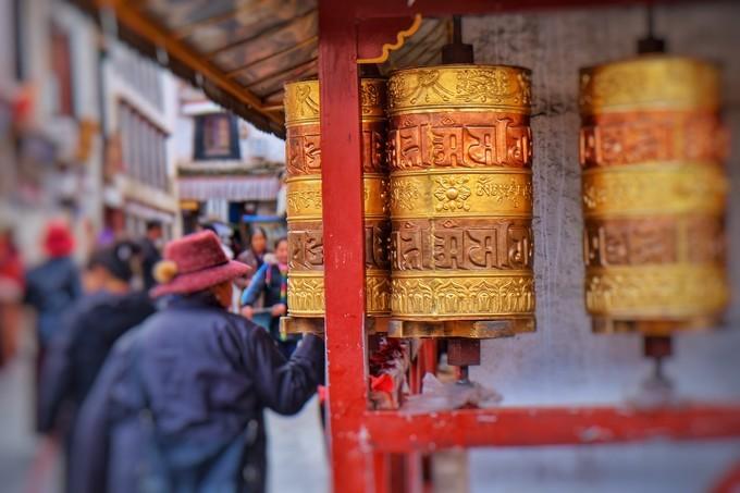 *藏西**，我历经十里桃花劫，只为寻心之所往