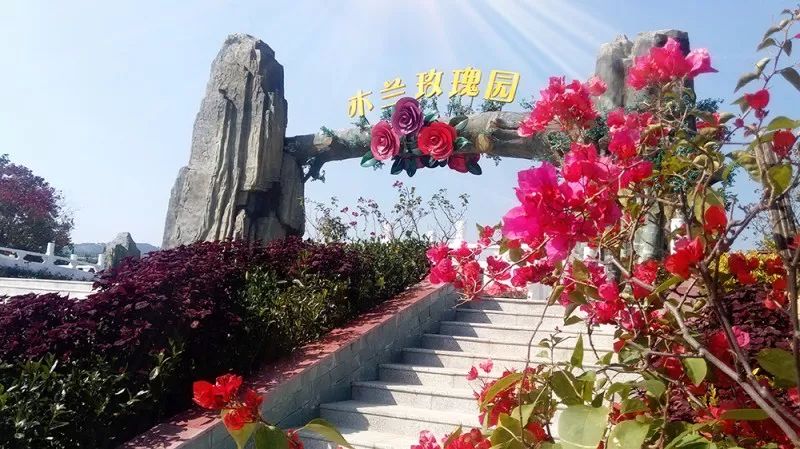 武汉暑假免费夏令营水上,暑假夏令营武汉市