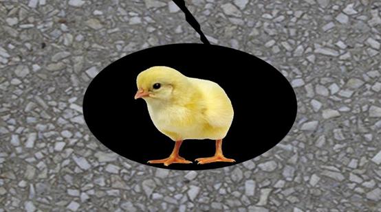 一文搞定楼板裂缝问题，能不能用胶水粘？