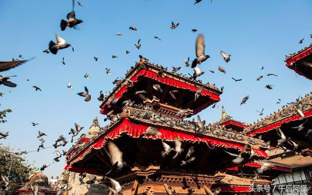 尼泊尔印度斯里兰卡穷游篇 (尼泊尔1000元穷游攻略详细版)