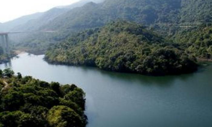 看墓地风水学入门,墓地风水必背知识