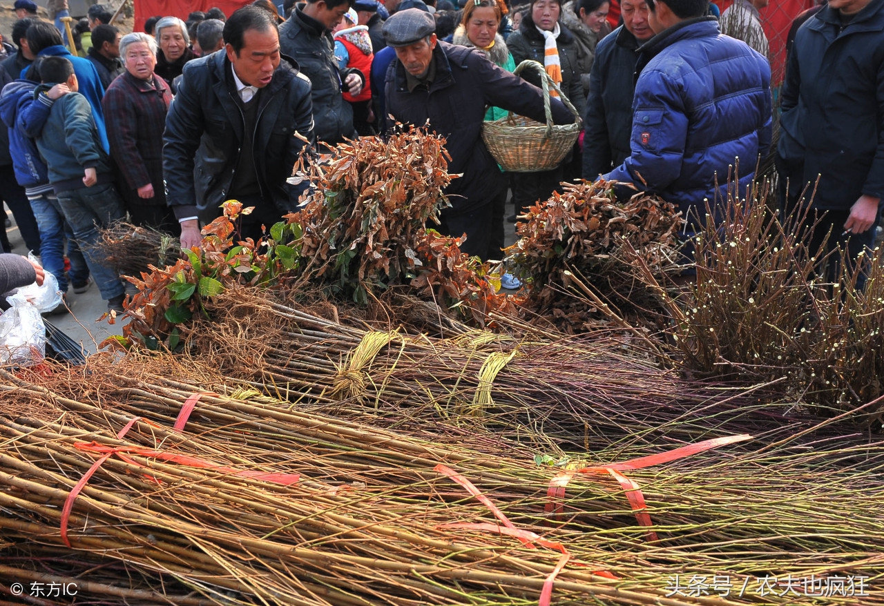 在农村，集市上这四种东西十有八九是假货，你上当过受骗过吗？