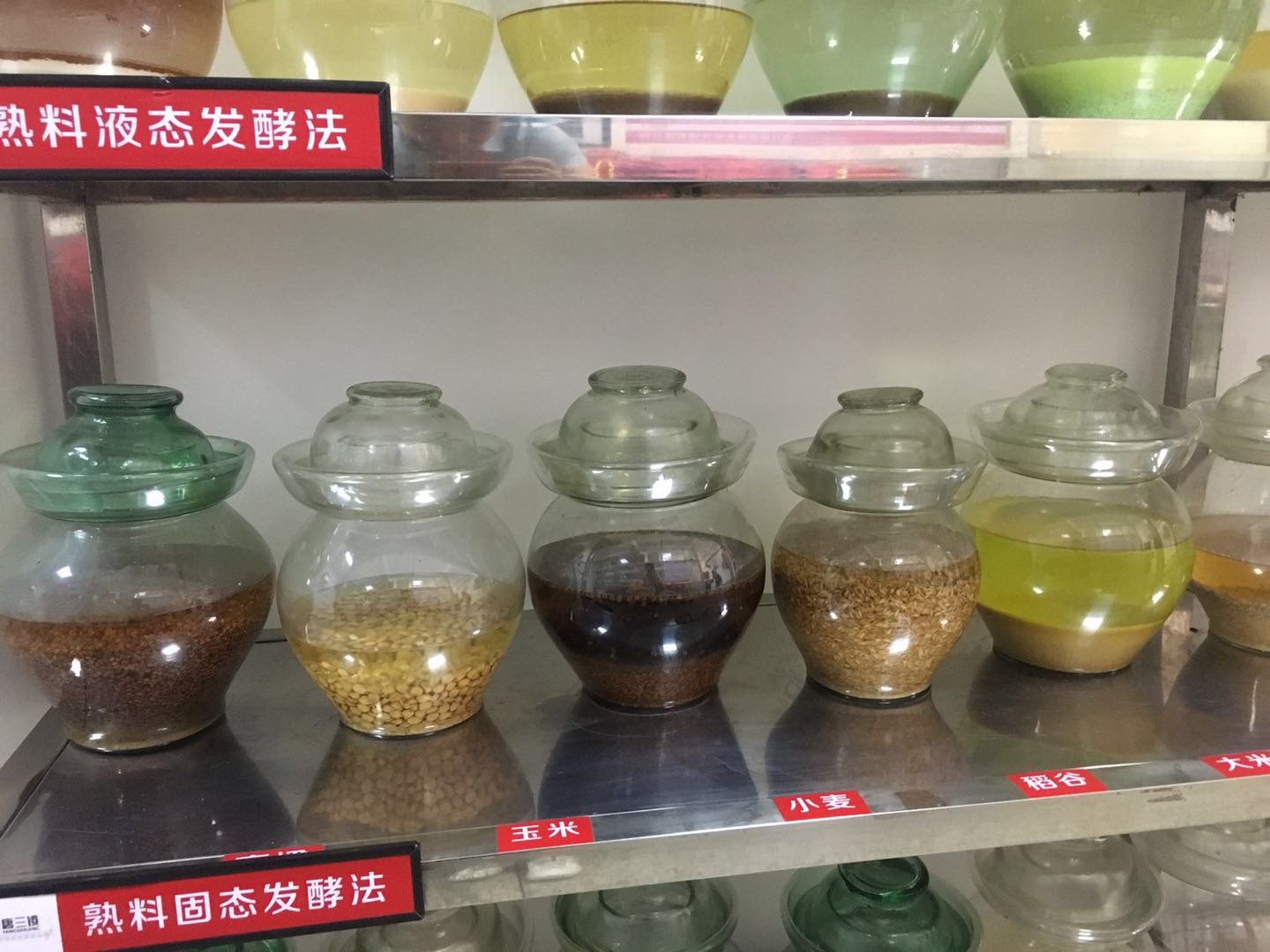 浓香型酒厂酿酒全过程,小型家用酿酒设备酿酱香