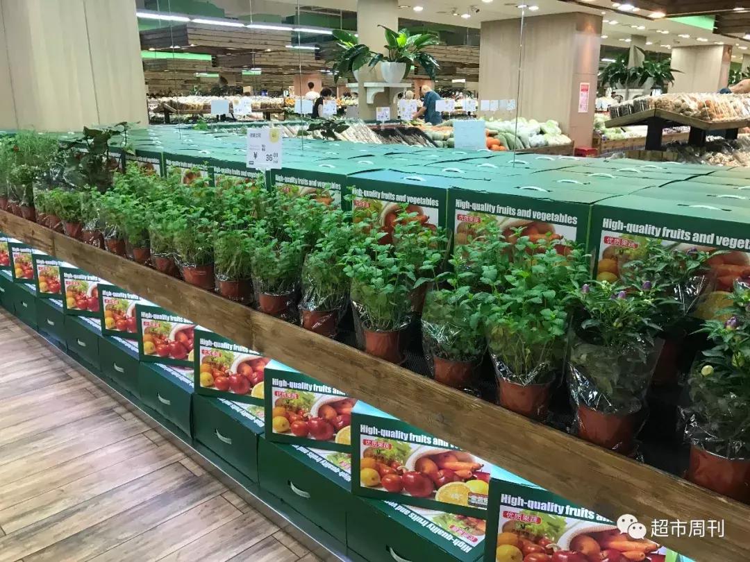 再探“果蔬好”：名不虚传果然好整体良性运转已形成