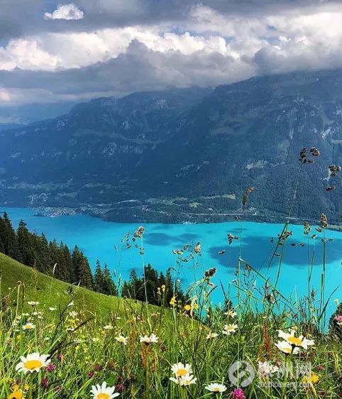 游客因为拍照而被罚款？这个国家景色到底有多美，才敢这么傲娇……