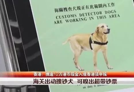 现在去香港旅游最新规定,去香港有罚款记录怎么办