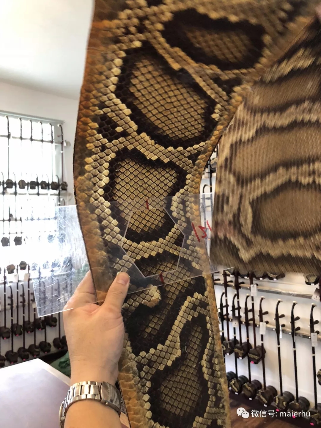 二胡的琴皮选择,二胡琴皮是粗鳞好还是细好