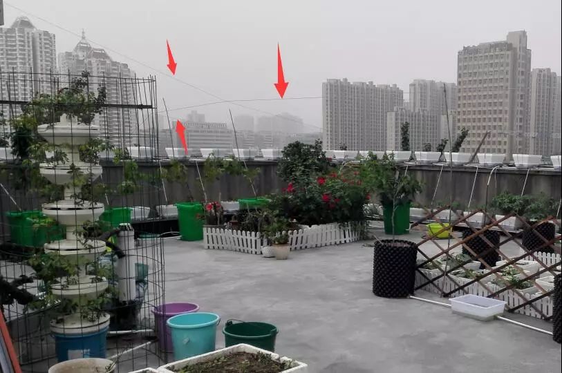楼顶菜园土层多厚好,顶楼菜园如何防风