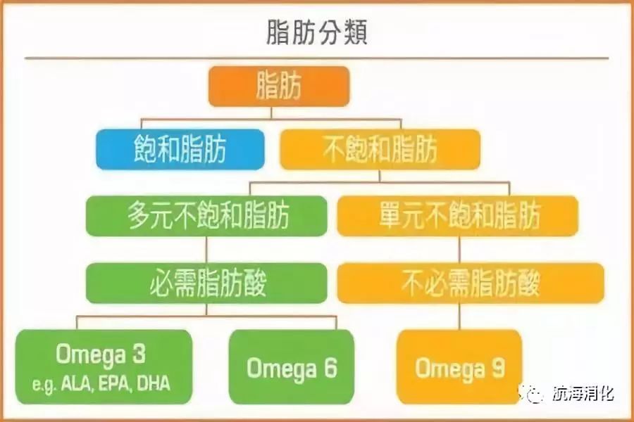 预防肠息肉日常饮食你吃对了吗,肠息肉的饮食应该主要注意什么