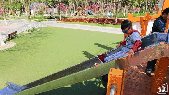 向日葵花海上海旅游攻略,上海市中心有一片向日葵花海
