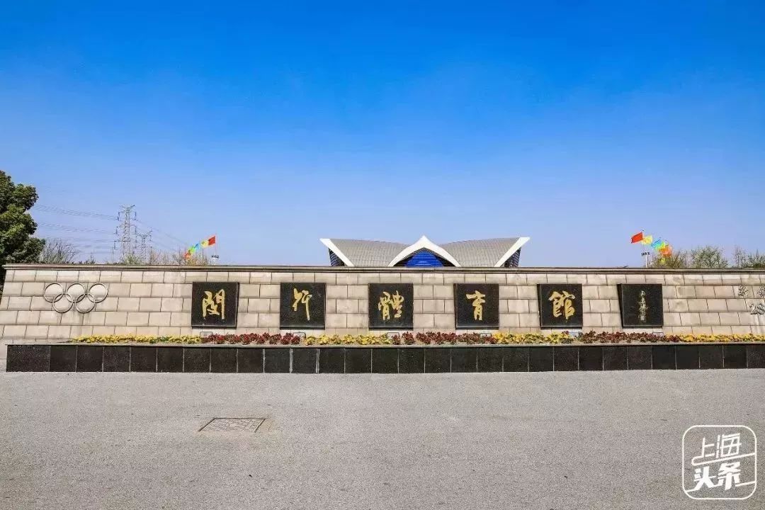 向日葵花海上海旅游攻略,上海市中心有一片向日葵花海