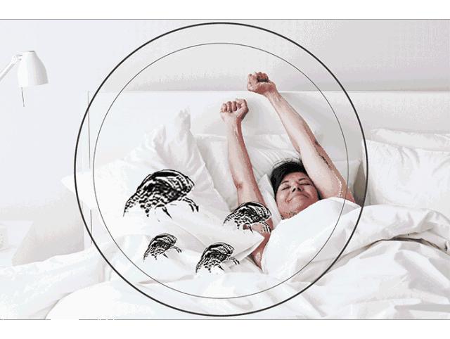 泰国天然乳胶枕专场99包邮,泰国正品保真乳胶枕