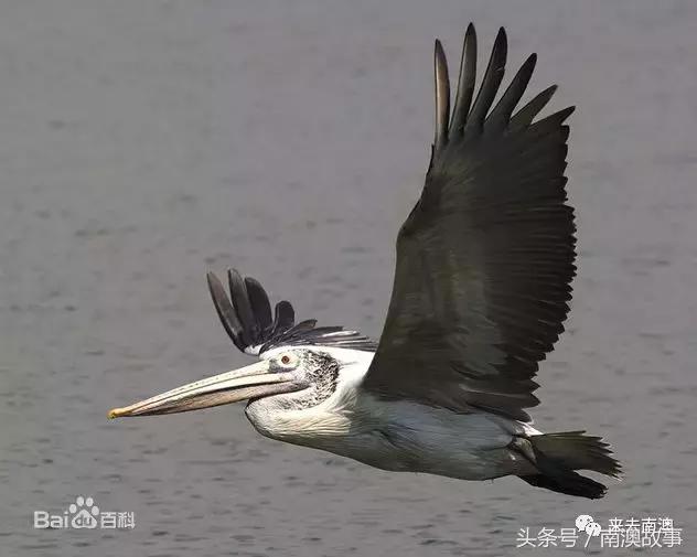 这座小岛究竟隐藏了多少秘密,一座鲜为人知的隐藏小岛