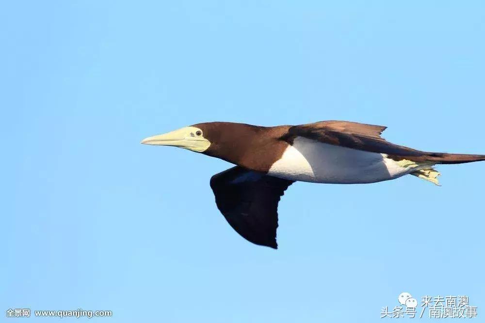这座小岛究竟隐藏了多少秘密,一座鲜为人知的隐藏小岛