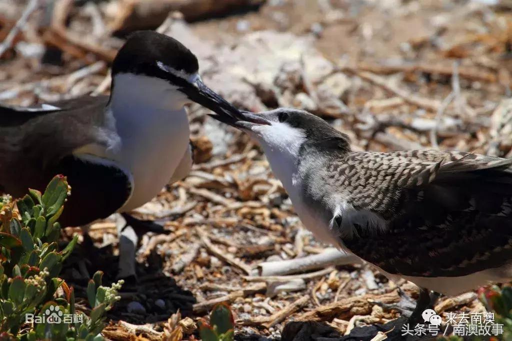 这座小岛究竟隐藏了多少秘密,一座鲜为人知的隐藏小岛