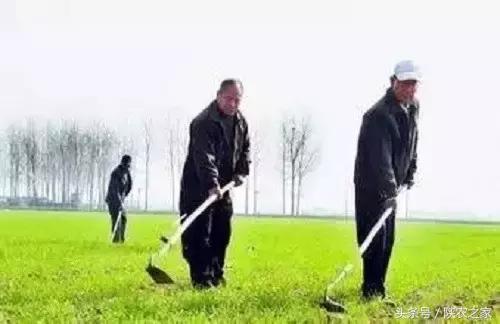 现在农民难种地苦的顺口溜,农村种地大实话顺口溜男声版