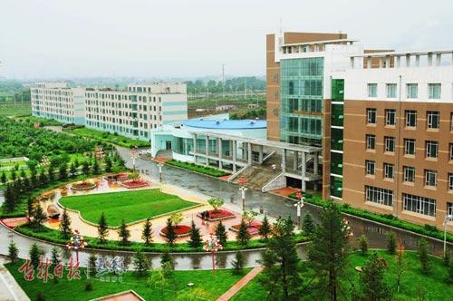 高职学院就业率排名2020,高职院校毕业生的就业率怎么样