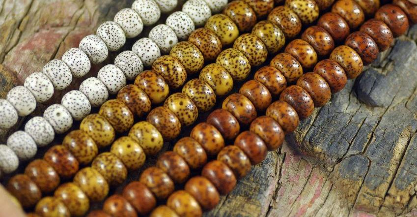 喜欢星月菩提的人,一直钟爱星月菩提