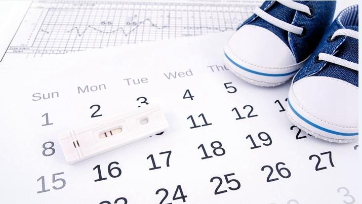 女人排卵时有哪些身体反应,排卵后多久能造人