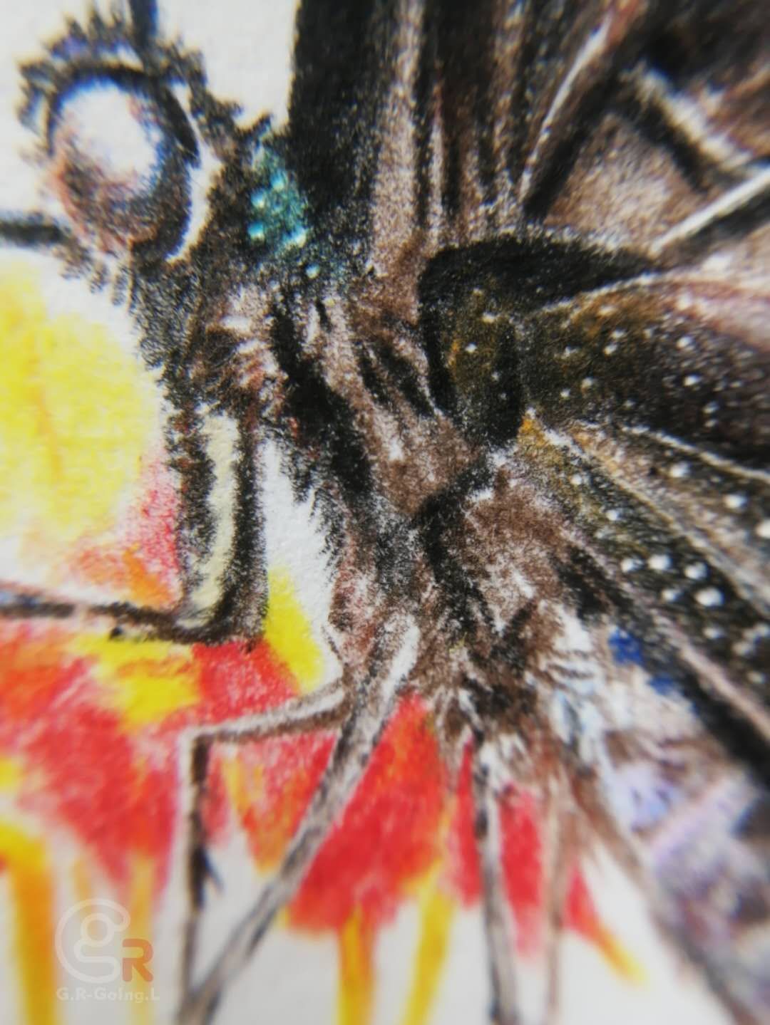 幸福原创画吧画友（7月17日）习作分享