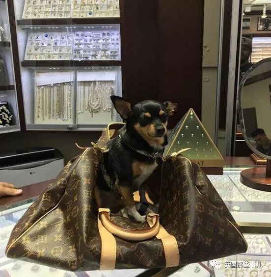 当众点了猪肉，这个土豪中东假王子现在要面临30年牢狱了