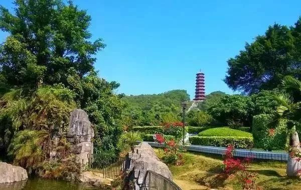 深圳免费景区一览表,深圳国际艺术博览会免费门票