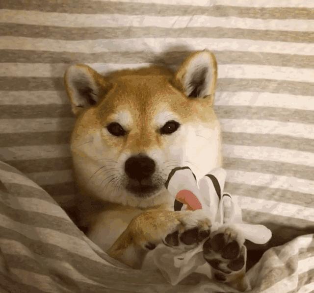 护肤品试用的步骤及使用方法,新的护肤品试用在哪儿比较合适