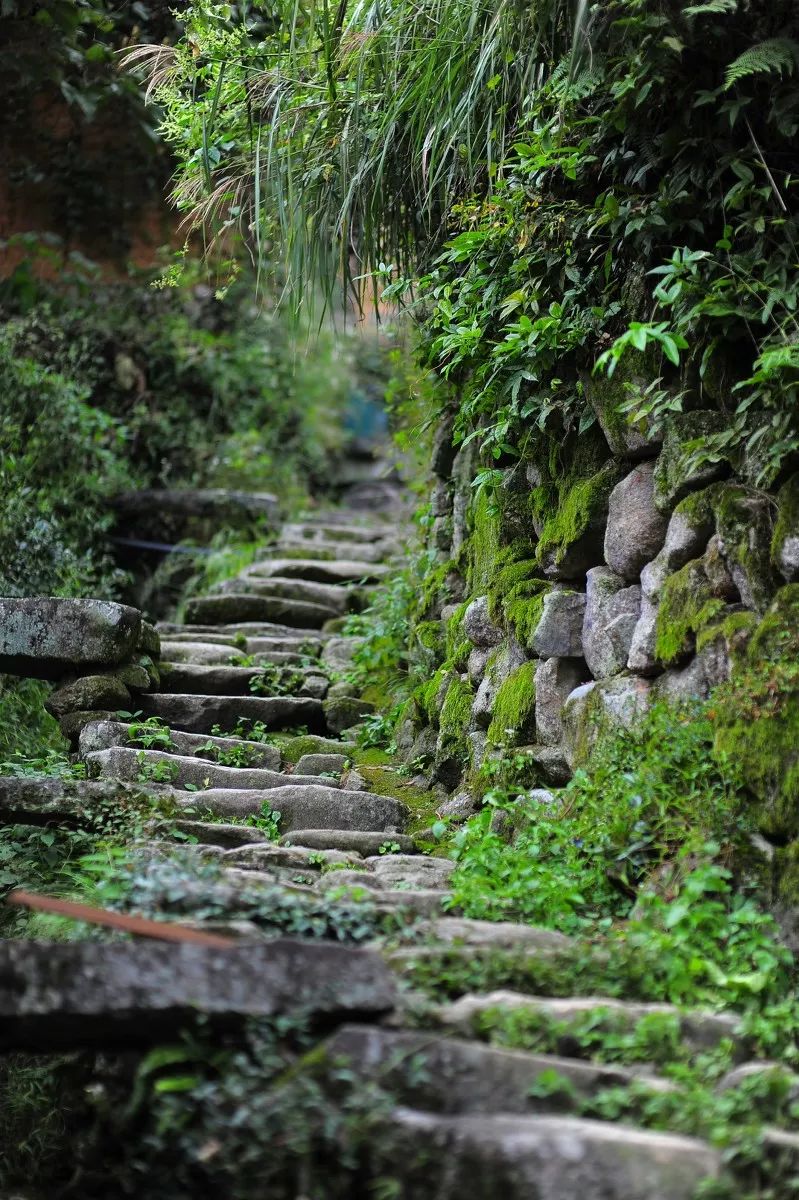 古堰画乡如诗如画,古堰画乡最是诗情画意的地方