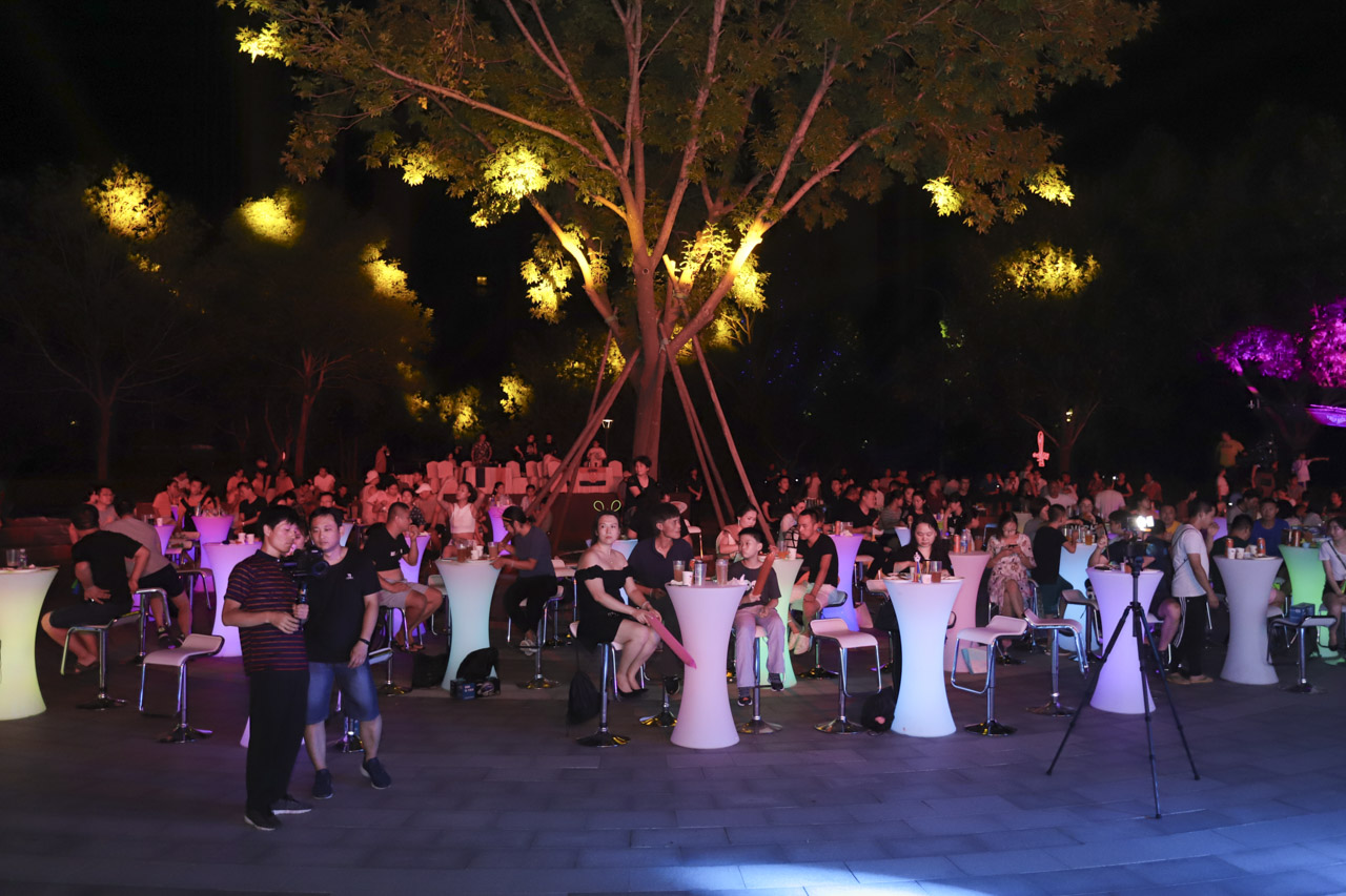 世界杯足球狂欢,世界杯嘉年华