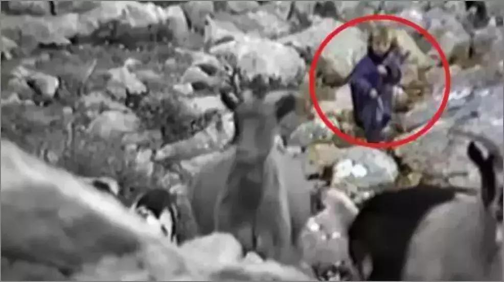 战机护航直播,克罗地亚首都数万球迷狂欢庆祝