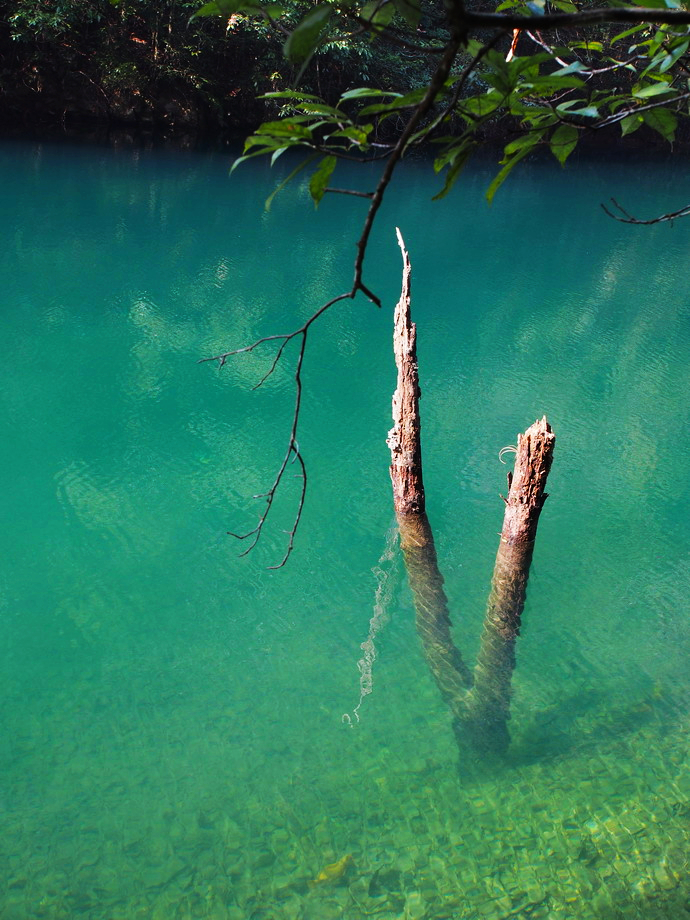 杭州旅游全攻略自驾,浙江杭州旅游景点攻略一日游