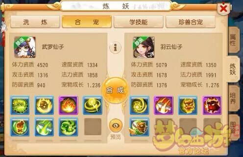 梦幻西游暴力合宠图,梦幻西游灵儿