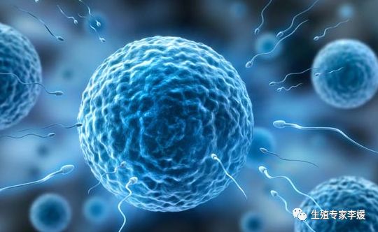 人类精子数亿计，为什么多数只有一个精子能到达卵子同时到达的精子会不会自相残杀？