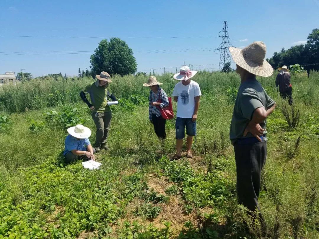 开发区今日要闻,简讯今日要闻