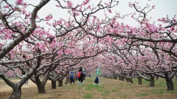 天津10个乡镇入选中央重点名单！这些乡镇重大利好，你入围了没？