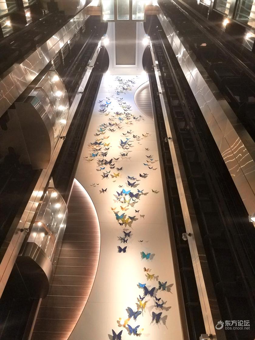 海洋量子号游轮旅游攻略,坐海洋量子号游轮旅游攻略