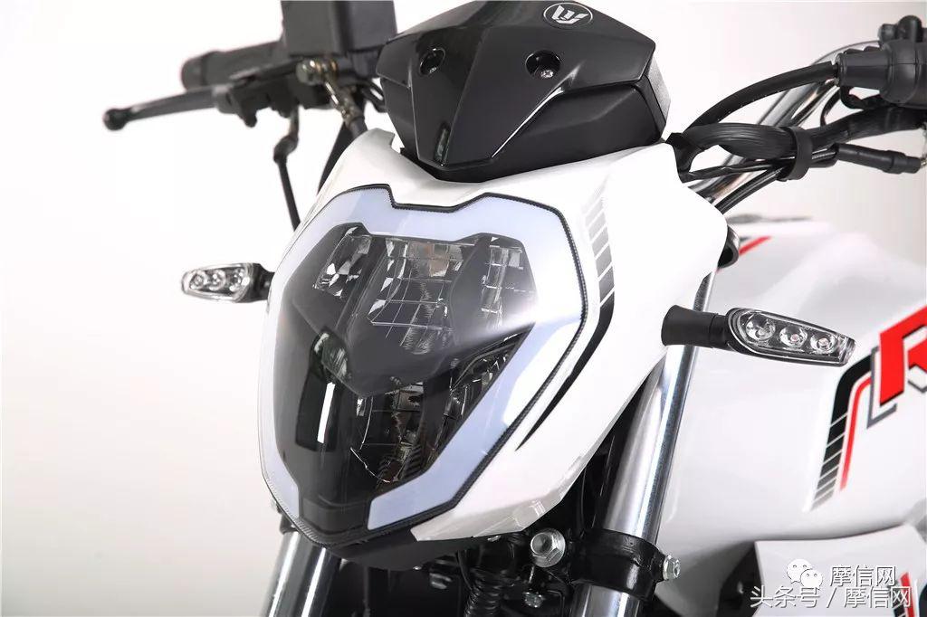 钱江龙御龙猛龙飞龙哪个好,猛龙御龙钱江龙