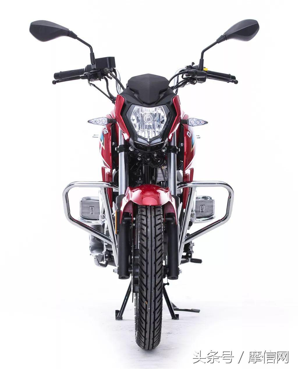 钱江龙御龙猛龙飞龙哪个好,猛龙御龙钱江龙