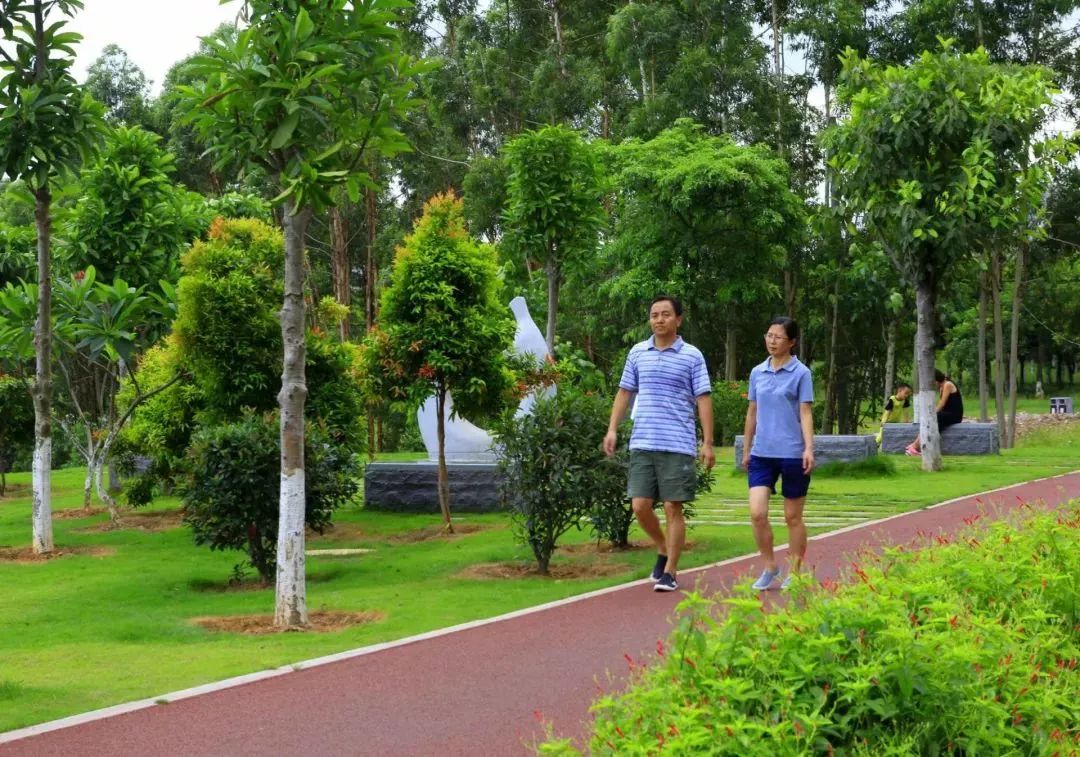 厦门历史最久的“洗肾中心”重返海沧！以后不用跑岛内，还有……