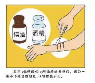 狂犬疫苗的造假事件2012,狂犬疫苗造假最新消息