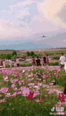 羡慕住在城市的人,羡慕住在重庆成都的人