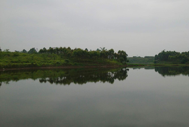 怎样用嫩玉米钓鱼最有效,可以直接用嫩玉米钓鱼吗