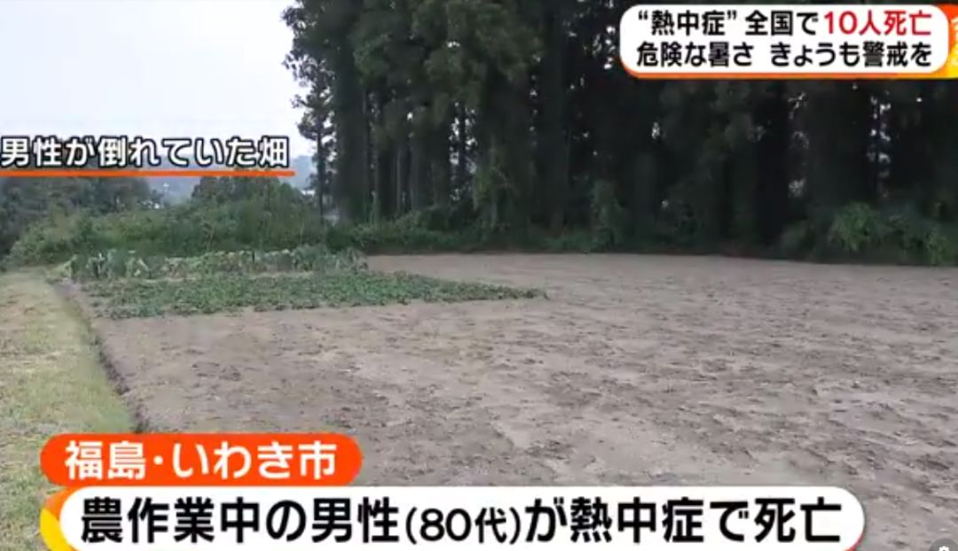 日本一周内超9千人中暑,日本中暑送医人数增多